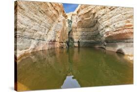 Clean Cold Water in the Creek Canyon. Sandstone Walls Apart, like Butterfly Wings. Picturesque Cany-kavram-Stretched Canvas