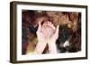 Clean Water-soupstock-Framed Photographic Print