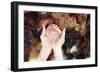 Clean Water-soupstock-Framed Photographic Print