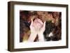 Clean Water-soupstock-Framed Photographic Print