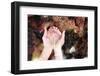 Clean Water-soupstock-Framed Photographic Print