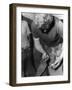 Cleaning a Hoof-null-Framed Photographic Print