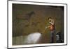 Cleaning Cave Drawings-Banksy-Mounted Giclee Print