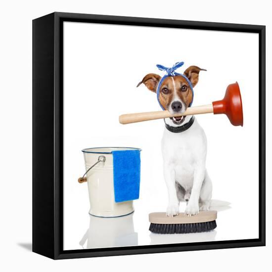 Cleaning Dog-Javier Brosch-Framed Stretched Canvas