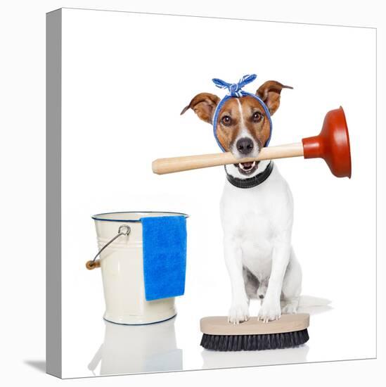 Cleaning Dog-Javier Brosch-Stretched Canvas