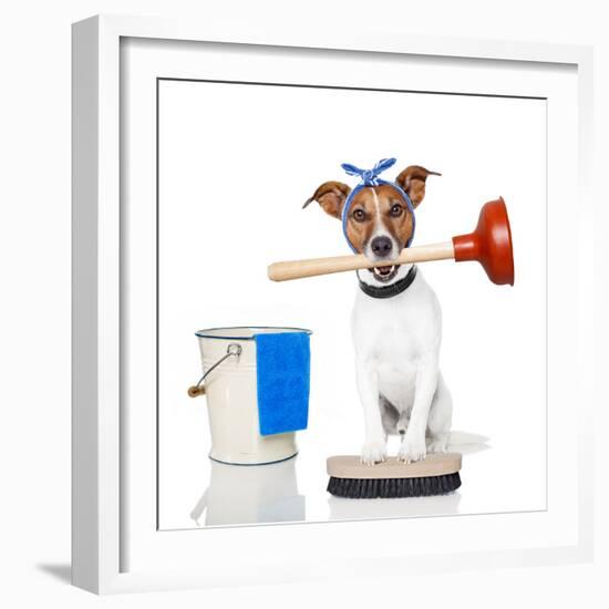 Cleaning Dog-Javier Brosch-Framed Photographic Print