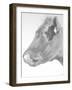 Cleaning the Nose 1-null-Framed Photographic Print