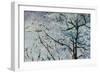 Clear Blue Sky-Jodi Maas-Framed Giclee Print