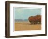 Clear Day I-Norman Wyatt Jr.-Framed Art Print