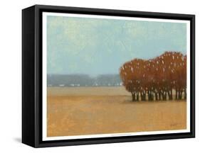 Clear Day I-Norman Wyatt Jr.-Framed Stretched Canvas