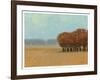 Clear Day I-Norman Wyatt Jr.-Framed Art Print