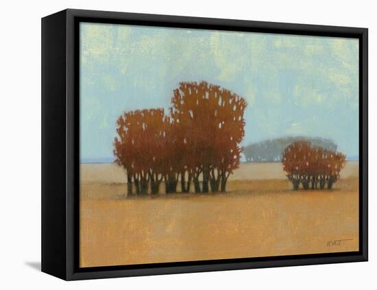 Clear Day II-Norman Wyatt Jr.-Framed Stretched Canvas