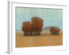 Clear Day II-Norman Wyatt Jr.-Framed Art Print