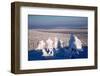 Clear Day on Winter Time-greyhound-Framed Photographic Print