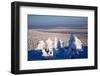 Clear Day on Winter Time-greyhound-Framed Photographic Print