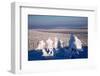 Clear Day on Winter Time-greyhound-Framed Photographic Print