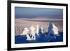 Clear Day on Winter Time-greyhound-Framed Photographic Print