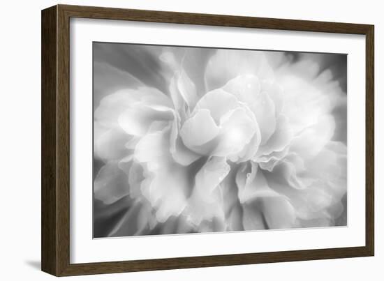 Clear Light-Philippe Sainte-Laudy-Framed Photographic Print