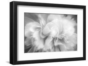 Clear Light-Philippe Sainte-Laudy-Framed Photographic Print