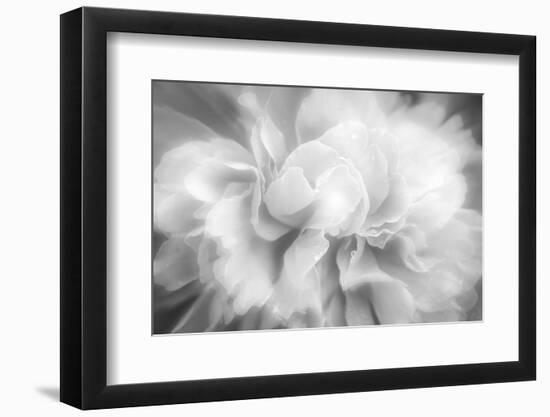 Clear Light-Philippe Sainte-Laudy-Framed Photographic Print