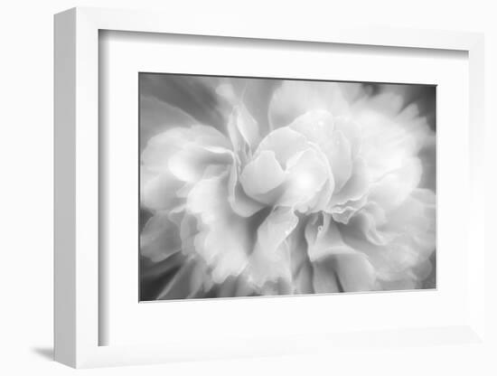 Clear Light-Philippe Sainte-Laudy-Framed Photographic Print