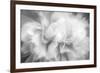 Clear Light-Philippe Sainte-Laudy-Framed Photographic Print