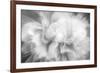 Clear Light-Philippe Sainte-Laudy-Framed Photographic Print