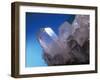 Clear Quartz Crystals (rock Crystals)-Geoff Tompkinson-Framed Photographic Print