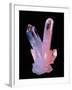 Clear Quartz Crystals (rock Crystals)-Geoff Tompkinson-Framed Photographic Print