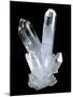 Clear Quartz Crystals-Geoff Tompkinson-Mounted Premium Photographic Print