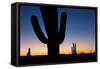 Clear Saguaro Sunset I-Larry Malvin-Framed Stretched Canvas