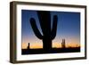 Clear Saguaro Sunset I-Larry Malvin-Framed Photographic Print