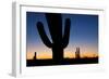 Clear Saguaro Sunset I-Larry Malvin-Framed Photographic Print