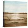 Clear Savannah I-Grace Popp-Stretched Canvas