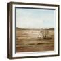 Clear Savannah II-Grace Popp-Framed Art Print