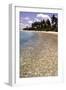 Clear Sea, Bangaram, Lakshadweep Islands, India, Indian Ocean, Asia-Balan Madhavan-Framed Photographic Print