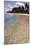 Clear Sea, Bangaram, Lakshadweep Islands, India, Indian Ocean, Asia-Balan Madhavan-Mounted Photographic Print