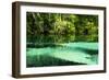 Clear Spring Waters 2-Alan Hausenflock-Framed Photographic Print