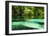 Clear Spring Waters 2-Alan Hausenflock-Framed Photographic Print