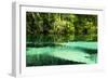 Clear Spring Waters 2-Alan Hausenflock-Framed Photographic Print