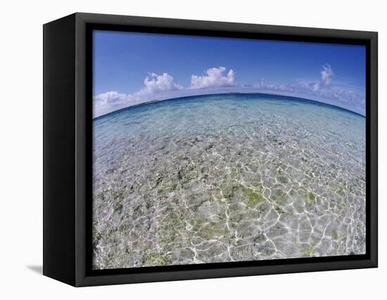 Clear Tropical Waters at Pitcairn Islands-Darrell Gulin-Framed Stretched Canvas