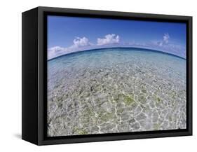 Clear Tropical Waters at Pitcairn Islands-Darrell Gulin-Framed Stretched Canvas