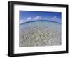 Clear Tropical Waters at Pitcairn Islands-Darrell Gulin-Framed Photographic Print