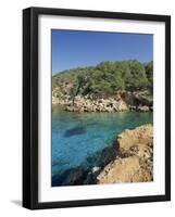 Clear Turquoise Waters of Cala Xucla, Near Portinatx, Ibiza, Balearic Islands, Spain, Mediterranean-Tomlinson Ruth-Framed Photographic Print