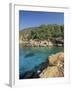 Clear Turquoise Waters of Cala Xucla, Near Portinatx, Ibiza, Balearic Islands, Spain, Mediterranean-Tomlinson Ruth-Framed Photographic Print