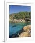 Clear Turquoise Waters of Cala Xucla, Near Portinatx, Ibiza, Balearic Islands, Spain, Mediterranean-Tomlinson Ruth-Framed Photographic Print