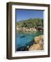 Clear Turquoise Waters of Cala Xucla, Near Portinatx, Ibiza, Balearic Islands, Spain, Mediterranean-Tomlinson Ruth-Framed Photographic Print