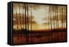 Clear View-Tim O'toole-Framed Stretched Canvas