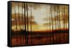 Clear View-Tim O'toole-Framed Stretched Canvas