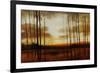 Clear View-Tim O'toole-Framed Giclee Print